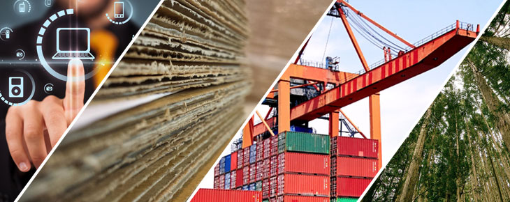 Transport of paper Balguerie : Transport of paper