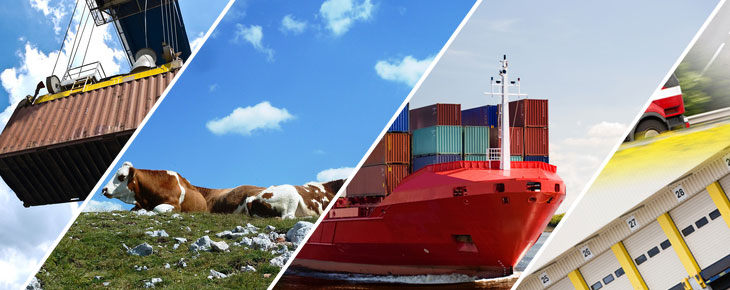 Transport of dairy products Balguerie : Transport of dairy products