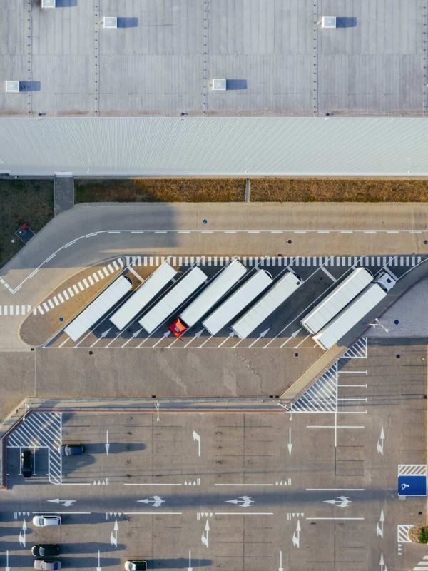 Supply chain expertise
